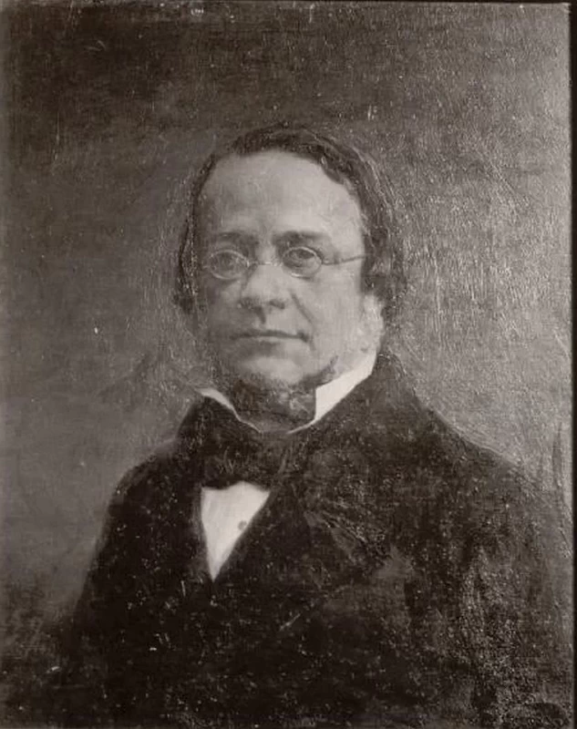 Ritratto di Daniele Manin - Museo delle Storie di Bergamo, Museo dell'Ottocento